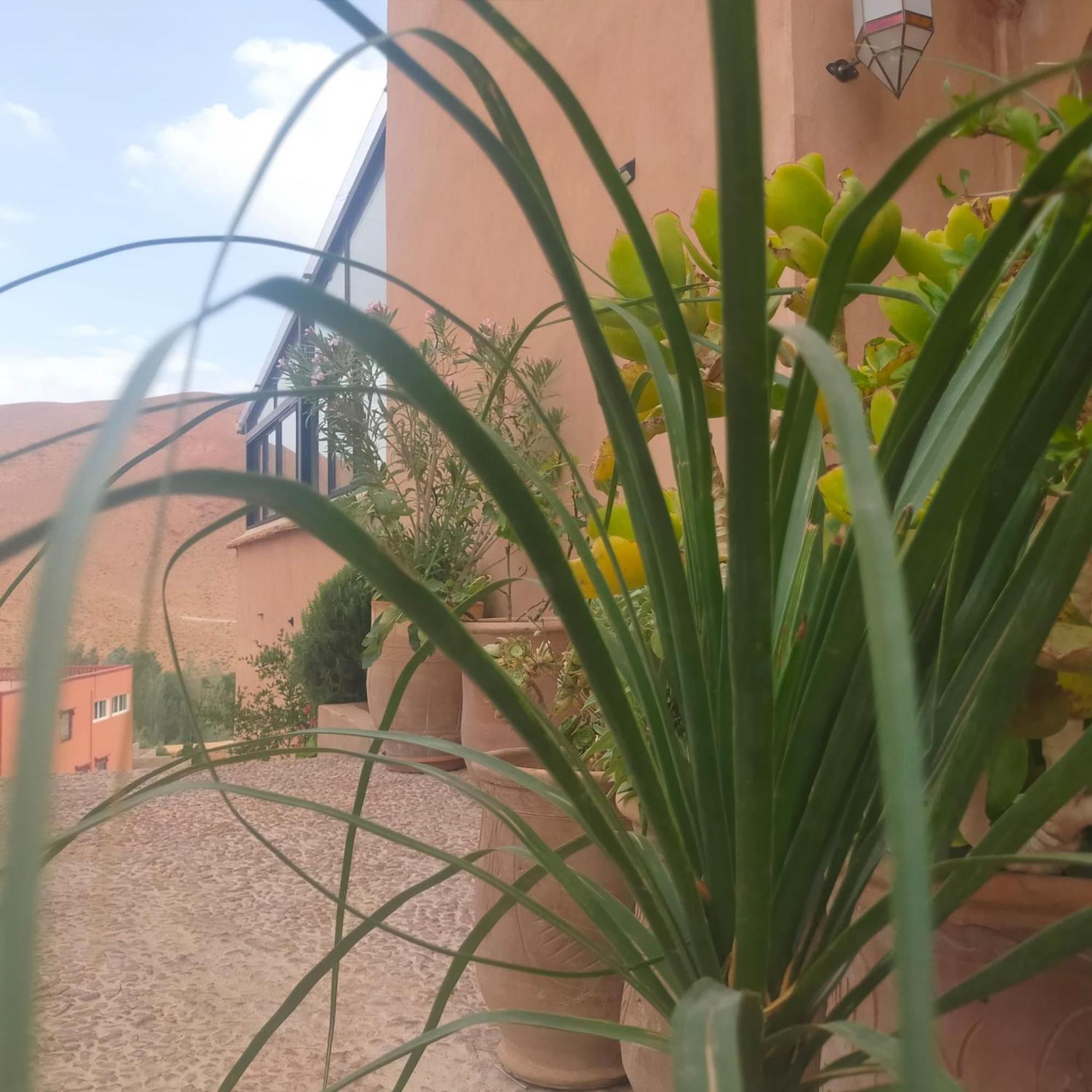 Kasbah Flilou Hotel Ait Ougliff Exterior foto